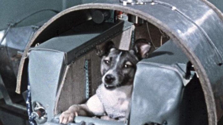 Laika, Viagem Sem Volta ao Espaço